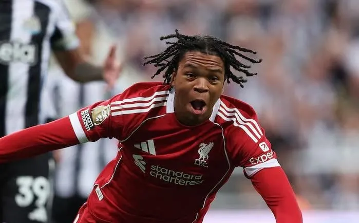 UFABETโบนัสแทงบอล